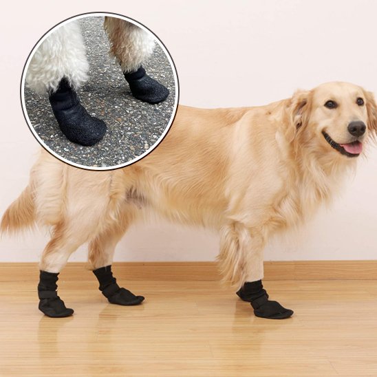 Chaussures chien | Imperméables antidérapantes