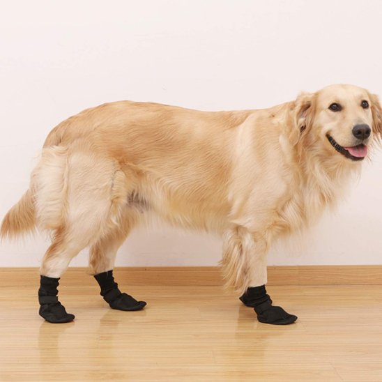 Chaussures chien | Imperméables antidérapantes