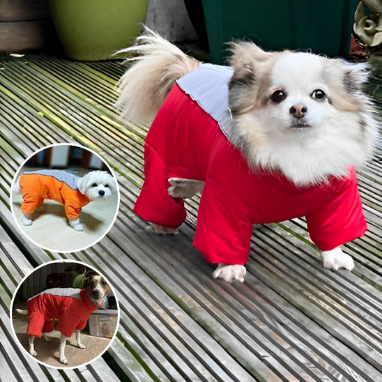 Manteau chien | Imperméable 4 pattes