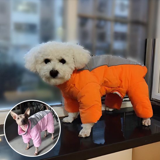 Manteau chien | Imperméable 4 pattes