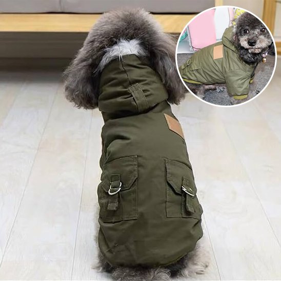 Manteau pour chien | Style Militaire