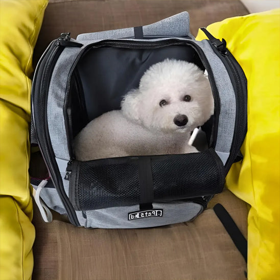 Sac Ă Dos Premium pour Chien