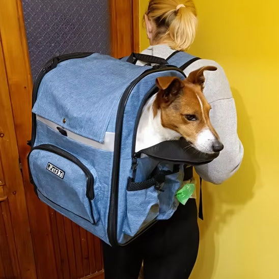 Sac Ă Dos Premium pour Chien