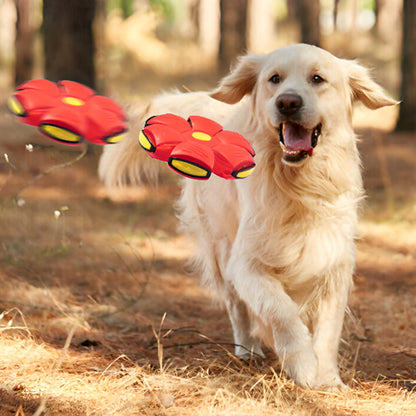 Jouet pour chien - Ovdog™ balle à LED