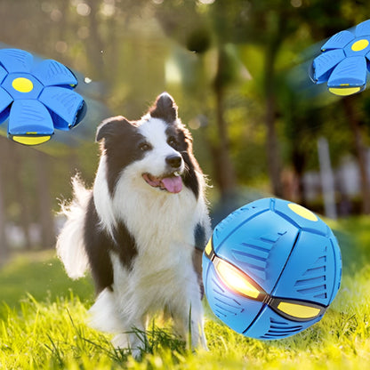 Jouet pour chien - Ovdog™ balle à LED