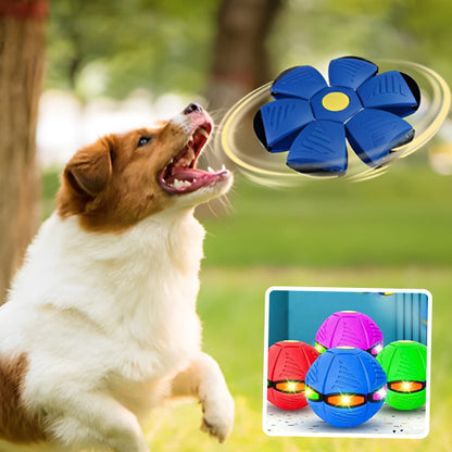 Jouet pour chien - Ovdog™ balle à LED