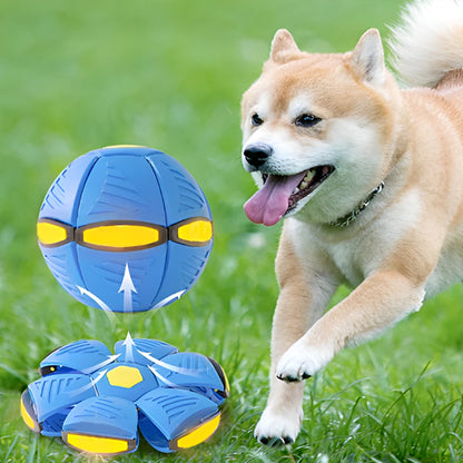 Jouet pour chien - Ovdog™ balle à LED