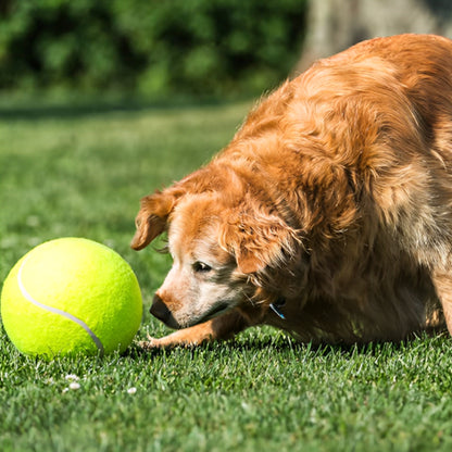 Balle pour chien - Tenidog™  géante