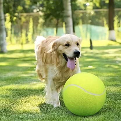 Balle pour chien - Tenidog™  géante
