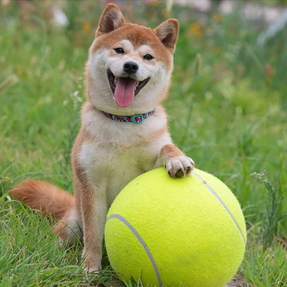 Balle pour chien - Tenidog™  géante