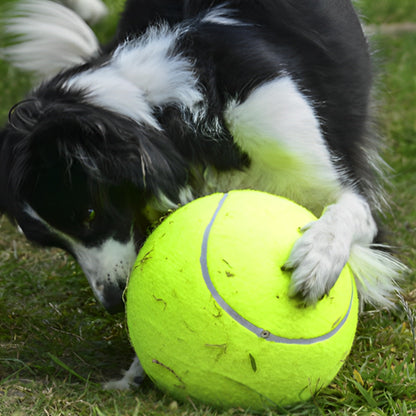 Balle pour chien - Tenidog™  géante