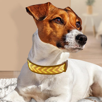 Collier pour chien lumineux - LumiDog™ à Led