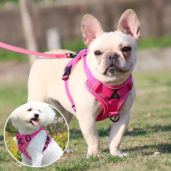 Harnais chien - EasyWalk™ réfléchissant avec laisse