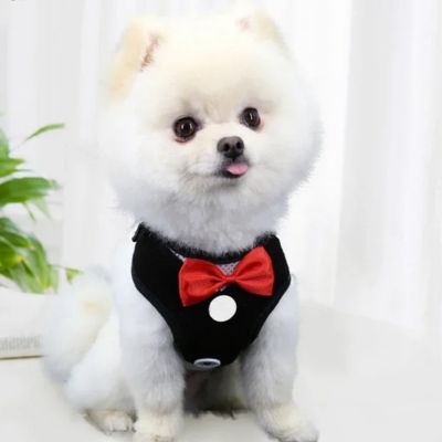 Harnais chien - ChicCanin™ avec laisse