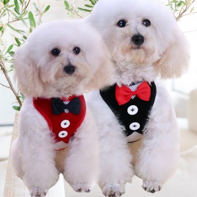 Harnais chien - ChicCanin™ avec laisse