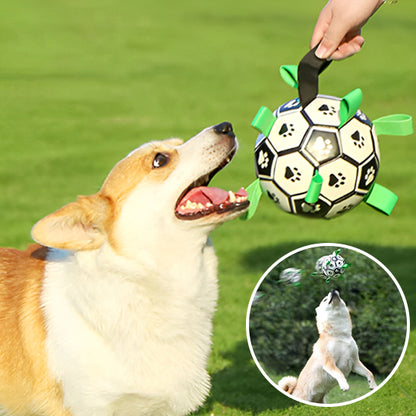 Jouet pour Chien - Dogfoot™ Balle avec anses