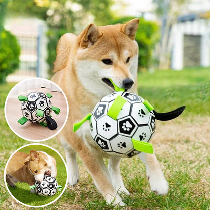 Jouet pour Chien - Dogfoot™ Balle avec anses