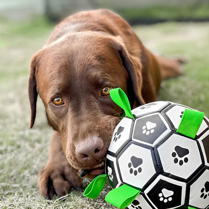 Jouet pour Chien - Dogfoot™ Balle avec anses