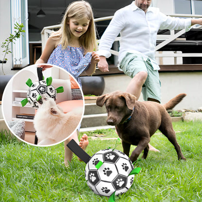 Jouet pour Chien - Dogfoot™ Balle avec anses
