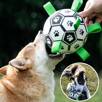 Jouet pour Chien - Dogfoot™ Balle avec anses