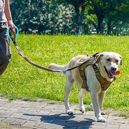 Laisse chien - TrekPro™