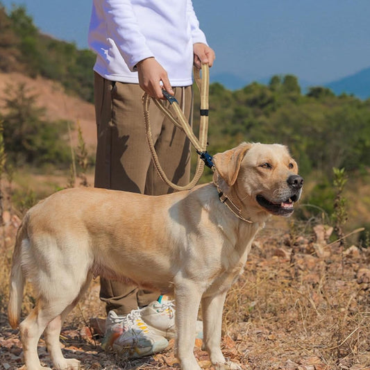 Laisse chien - TrekPro™