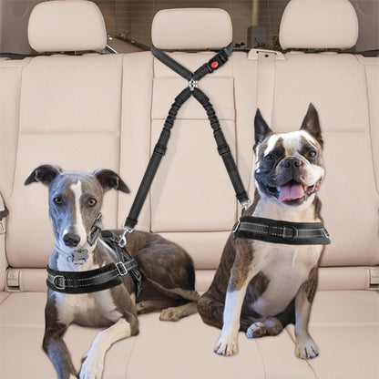 Laisse chien double 2-en-1