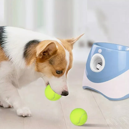Lanceur de balle pour chien - BallMaster™