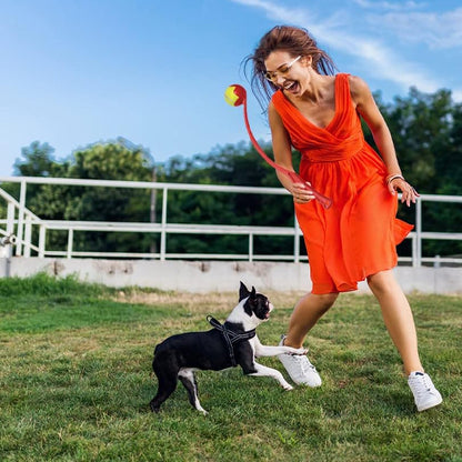 Lanceur de balle pour chien - FetchPro™