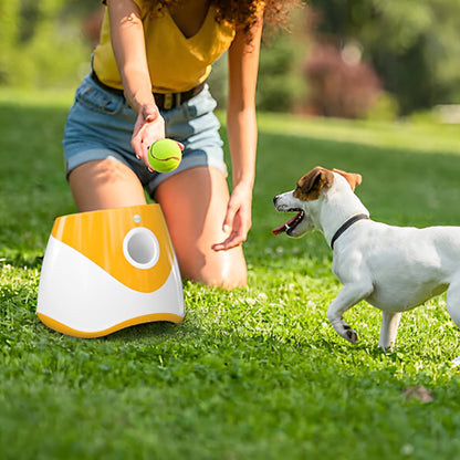 Lanceur de balle pour chien - BallMaster™