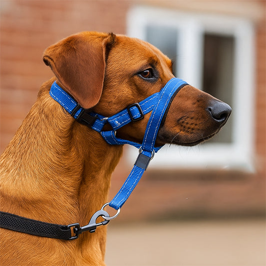 Muselière chien - DouxContrôle™