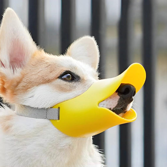 Muselière chien en silicone