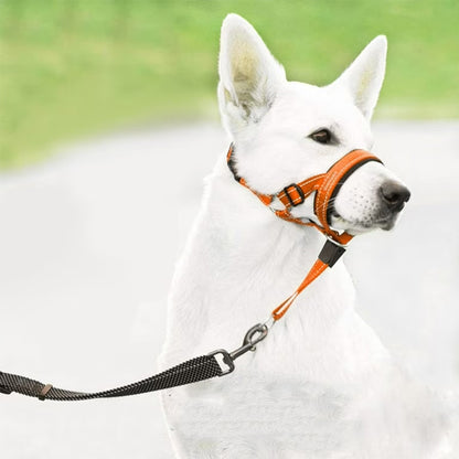 Muselière chien - DouxContrôle™