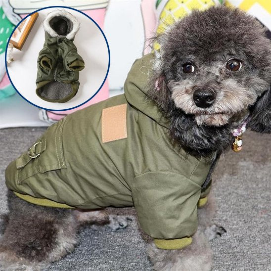 Manteau pour chien | Style Militaire