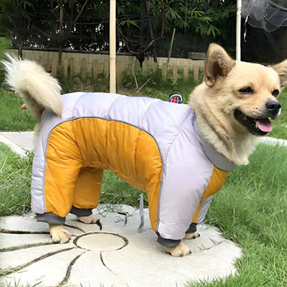 Manteau pour chien | 4Pattes Intégral