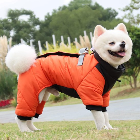 Manteau chien 4 pattes | Imperméable & Isolant