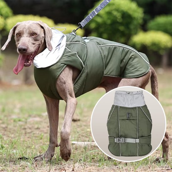 Manteau pour chien | Imperméable Élégant