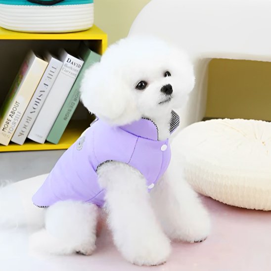 Manteau chien | Protectiwarm