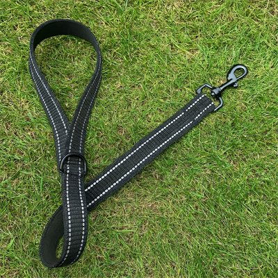 Laisse chien | Courte et Robuste