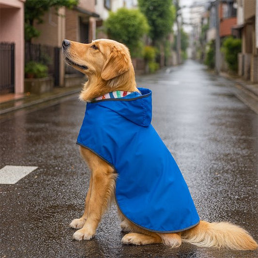Manteau chien imperméable | PluieConfort