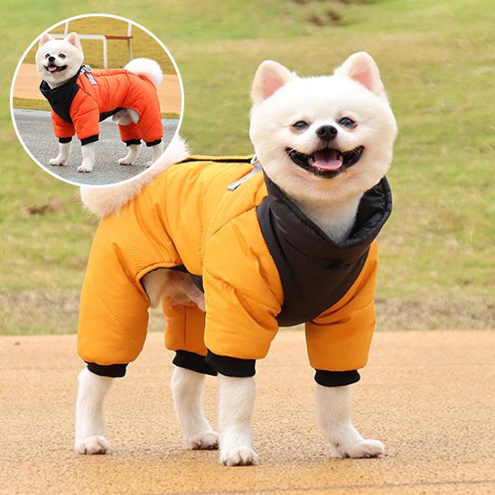 Manteau chien 4 pattes | Imperméable & Isolant