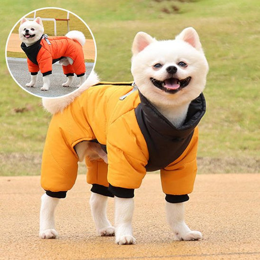 Manteau chien 4 pattes | Imperméable & Isolant