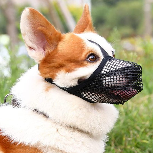 Muselière chien | Confort Ajustable