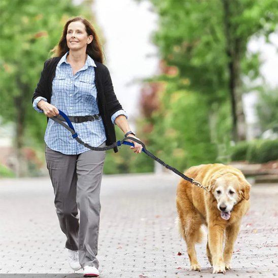 Laisse canicross | Ergonomique