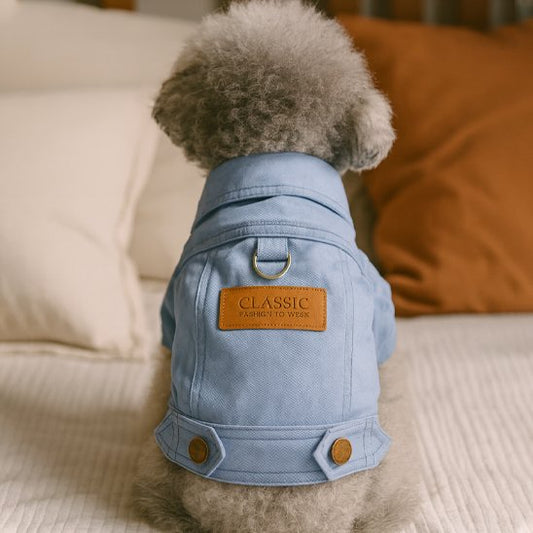 Manteau chien | Classic Denim
