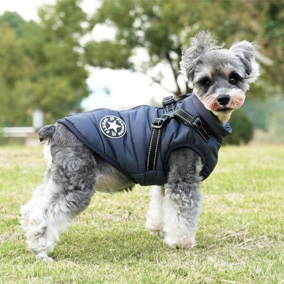 Manteau Chien | Premium Thermique Imperméable