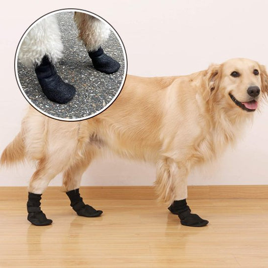 Chaussures chien | Imperméables antidérapantes