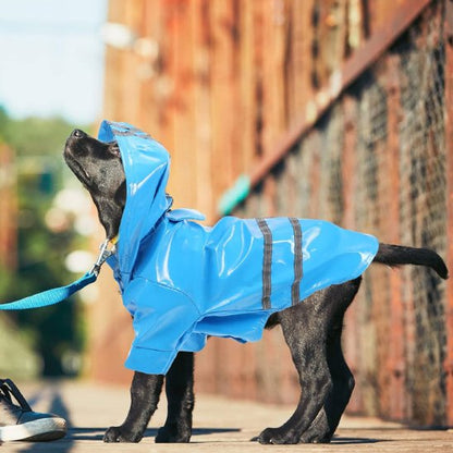 Manteau pour Chien | Imperméable Réfléchissant