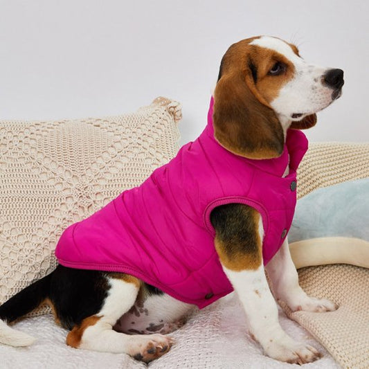 Manteau pour chien | Imperméable Élégant