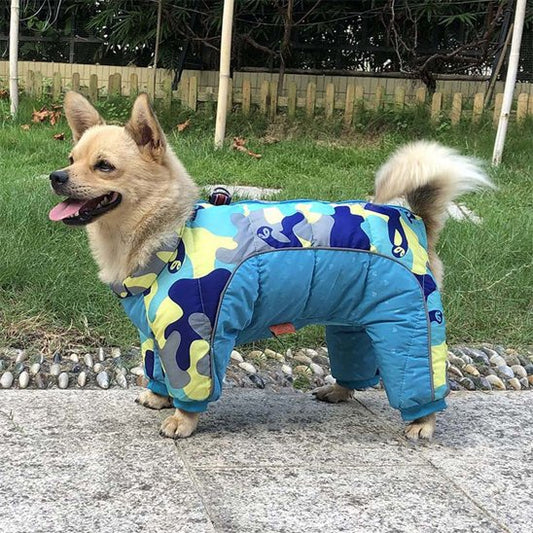 Manteau pour chien | 4Pattes Intégral